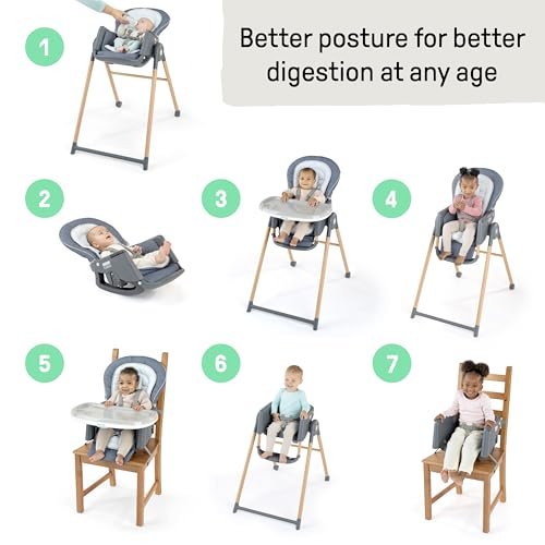 Ingenuity Proper Positioner 7-in-1 High Chair